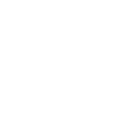The Partner Cisco Calls When It's Hard.